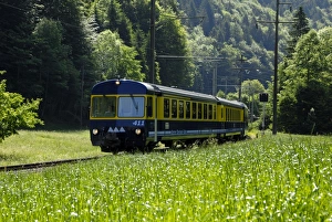 Rural Switzerland Landscape Drucke: Mountain train