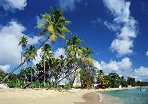 Drucke von Mullins Strand in der Pfarrei St Peter auf den Inseln im Karibischen Meer Verwandte Bilder Drucke: Mullins-Strand in der Pfarrei St Peter auf Barbodos Insel im Karibischen Meer
