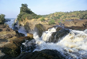 Drucke von Murchison-Fälle, Murchison-Fälle-Nationalpark, Uganda, Ostafrika, Afrika Uganda Drucke: Murchison-Fälle