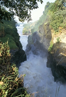 Uganda National Parks Drucke: Murchison Falls