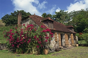 Irish Travel Destinations Drucke: The Museum