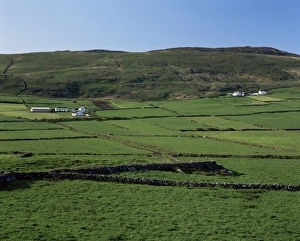 Munster Travel Destination Drucke: The Mzen Peninsula