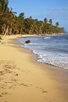 Central America Coastlines Drucke: Nicar-812