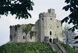 Contemporary Architecture UK Drucke: Norman keep