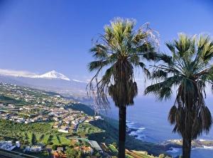 Tenerife Tourism Drucke: North coast and Mount Teide