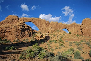 USA National Parks Tourism Drucke: North Window and South Window