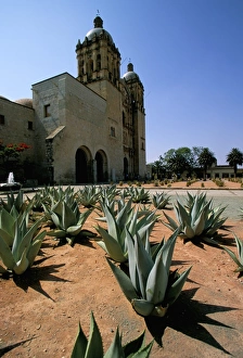 Mexican Heritage Sites Drucke: Oaxaca, Mexico