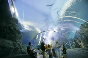 Bangkok Travel Destinations Drucke: Ocean World