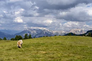 Summer In The Dolomites Drucke: Odle mountain range, Erbe pass in summer, South Tyrol, Alto Adige, Dolomites, Italy