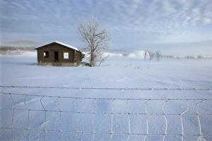 Winter Scenery Photography Drucke: Old house in winter