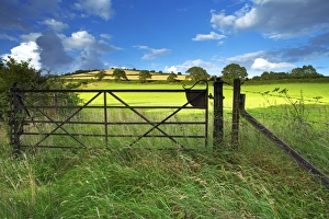 UK Nature Scenes Drucke: Old Railway Gate, Exe Valley, Devon, England, United Kingdom, Europe