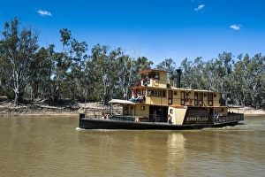Bilder Datiert 31. Oktober 2008: Alter Dampfer auf dem Murray im australischen Victoria an der Mündung des Flusses in die Pazifische See