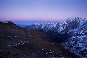 Ortler Alps Italy Drucke: Ortler after sunset