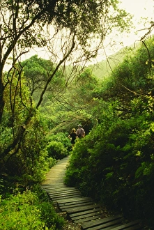 Contemporary Landscape Photography Drucke: Otter Trail
