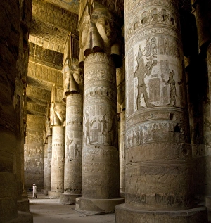 Nile Valley Landmarks Drucke: The Outer Hypostyle Hall in the Temple of Hathor