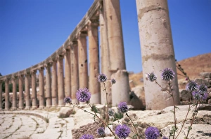 Roman Ruins In Jordan Drucke: Oval plaza