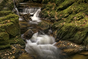 County Kerry Scenery Drucke: Owengarriff River, County Kerry, Munster, Republic of Ireland, Europe
