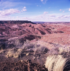 Remote Landscape Photography Drucke: Painted Desert