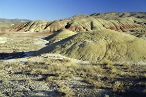 Painted Hills Oregon Drucke: The Painted Hills