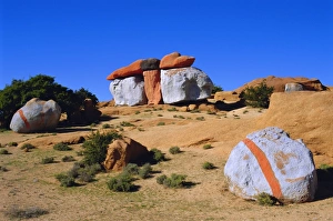 Colorful Desert Landscape Drucke: Painted rocks