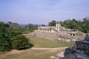 Palenque Mexico Drucke: The Palace