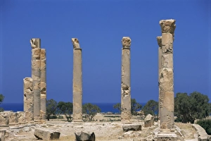 Palastspalten