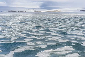 Arctic Norway Landscapes Drucke: Palanderbukta Bay, Pack ice pattern