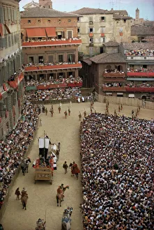 Drucke von Palo di Sangue in Siena im Toskana und Italien gehört zu Europa Verwandte Bilder Drucke: Palo, Sien