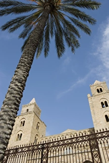 Cefalu Cathedral Drucke: Palm tree and cathedral