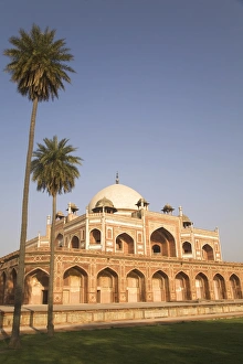 Colorful Palm Tree Images Drucke: Palm trees beside the earliest example of Mughal architecture, Humayans Tomb