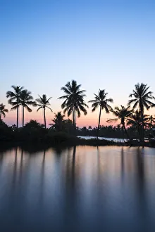 Kerala India Tourism Drucke: Palm trees reflecting in backwaters, Munroe Island, Kollam, Kerala, India, Asia