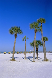 Relaxing Getaway Drucke: Palms and beach