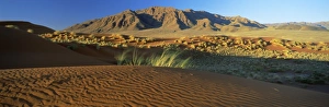 Namibia Travel Destinations Drucke: Panoramic view over dunes and mountains