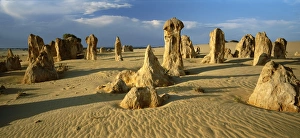 Nambung National Park Drucke: Panorma of eroded rock formations, The Pinnacle Desert, Nambung National Park