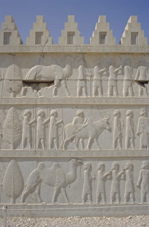 Persepolis Archaeological Site Drucke: Parade of nations carving