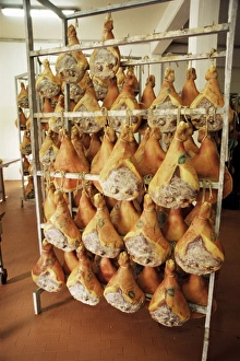 Drucke von Parmasalze auf Kurenahmen in der Nähe von Pavullo, Emilia-Romagna Italien Europa Emilia-Romagna Drucke: Ham von Parma auf Kursen zum Trocknen