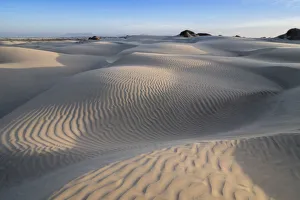 Muster im Dünenfeld an der Sand-Dollar-Bucht auf Magdalena-Insel, Baja-Kalifornien