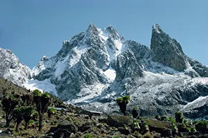 Drucke von Die Gipfel des Mount-Kenya aus der Teleki-Talung gesehen mit Rangerstation im Vordergrund Kenia Ostafrika Afrika Kenia Drucke: Die Gipfel von Mt