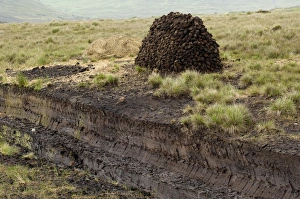 Connemara Landscape Photography Drucke: Peat cutting