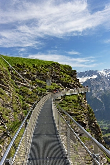 Swiss Alps Hiking Trails Drucke: People on First Cliff Walk, First, Jungfrau Region, Bernese Oberland, Switzerland