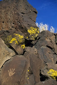Petroglyphs