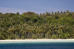 Thai Coastal Scenery Drucke: Phi Phi Don Island