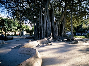 Mediterranean Europe Travel Destinations Drucke: Piazza Marina
