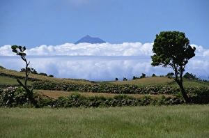 Europe Cloud Formations Drucke: Pico projects above clouds, Sao Jorge, Azores, Portugal, Europe