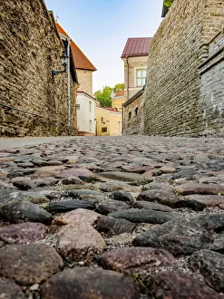 Pikke Jalggasse im niedrigen Winkelblick in der Altstadt von Tallin Estland Europa