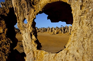 Nambung National Park Drucke: Pinnacles desert limestone pillars, Nambung National Park, Western Australia