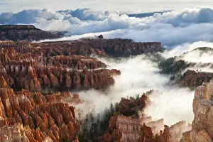 Nature Scenic Views USA Drucke: Pinnacles and hoodoos with fog extending into clouds of a partial temperature inversion