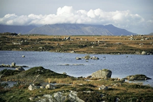 Irish Nature Photography Drucke: The Twelve Pins