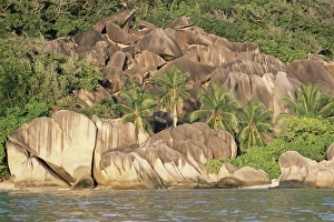 Seychelles Travel Destinations Drucke: Plage de Source d Argent