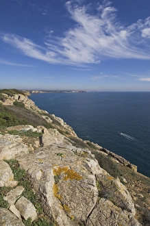 European Coast Line Drucke: Ponta da Torre